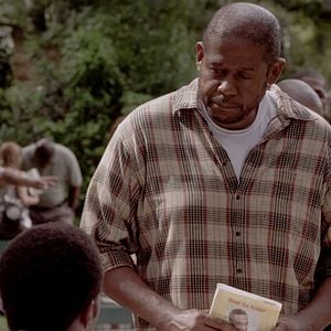 Bilder Repentance - Tag der Reue