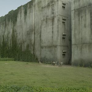 Bilder Maze Runner - Die Auserwählten im Labyrinth