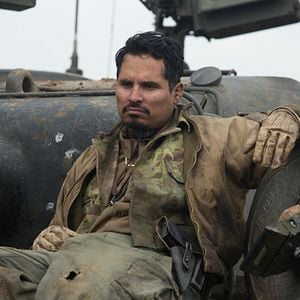 Bilder Michael Peña