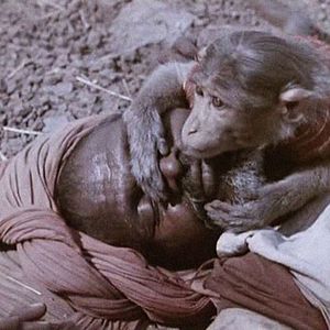 Bilder Indien, Mutter Erde