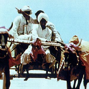 Bilder Indien, Mutter Erde