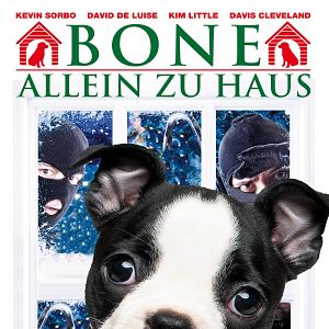 Bilder 4 Pfoten retten Weihnachten