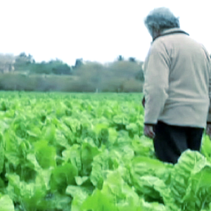 Bilder Mujica, le pouvoir est dans le cœur