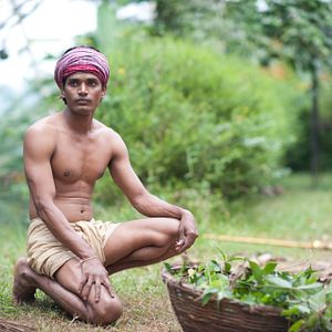 Bilder Vara: A Blessing