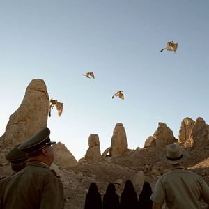 Bilder P-51 Dragon Fighter