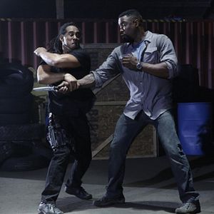 Bilder Falcon Rising