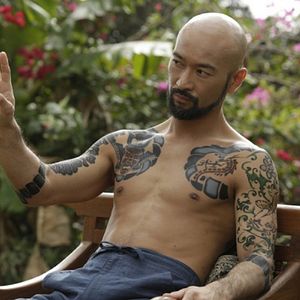 Bilder Falcon Rising