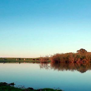 Bilder Carta a un padre