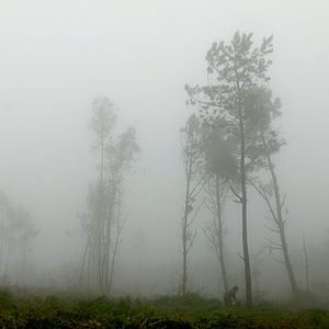 Bilder Costa da Morte