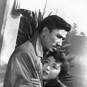 Bilder When It Rains, It Pours