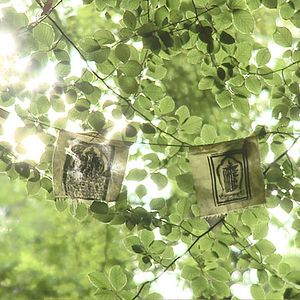 Bilder Vivre Autrement