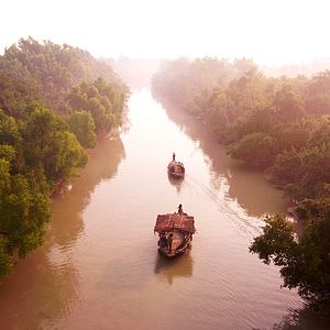 Bilder ROAR – Tigers of Sundarbans