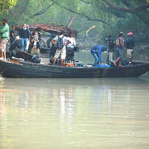 Bilder ROAR – Tigers of Sundarbans