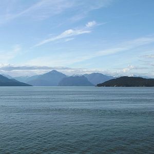 Bilder Au cœur de la forêt du Sasquatch