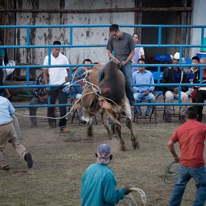 Bilder Mateo Bautista Matías