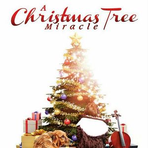 Bilder Ein Weihnachtsbaumwunder