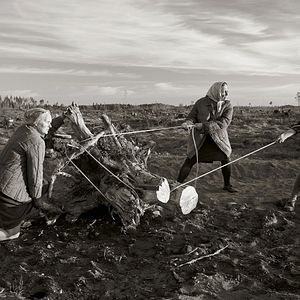Bilder In The Crosswind