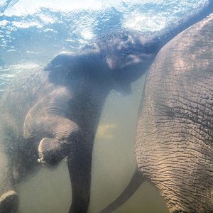 Bilder Afrika - Das magische Königreich