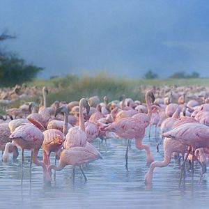 Bilder Afrika - Das magische Königreich