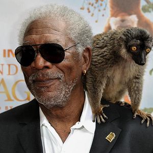 Bilder Morgan Freeman