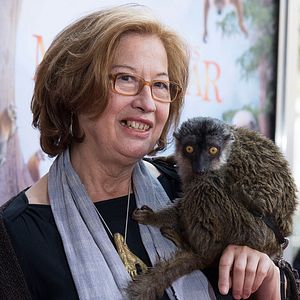 Bilder Insel der Lemuren - Madagascar