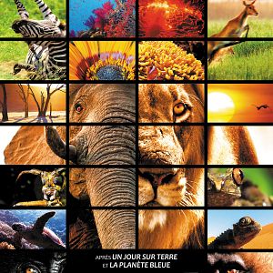 Bilder Afrika - Das magische Königreich