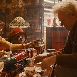 Bilder Sally Hawkins