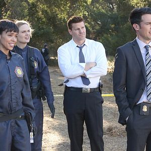 Bilder David Boreanaz