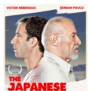 Bilder Câinele Japonez