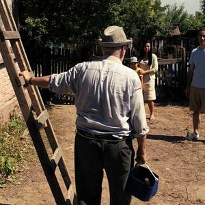 Bilder Câinele Japonez