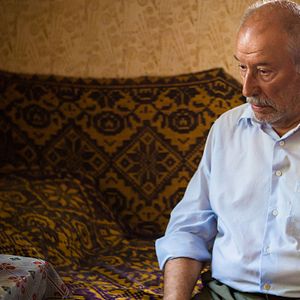 Bilder Câinele Japonez