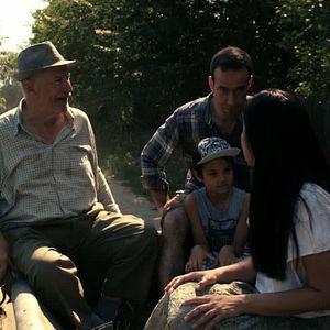 Bilder Câinele Japonez