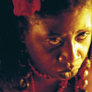 Bilder O Fim da Picada