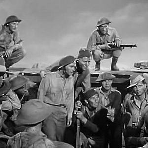 Bilder Die Wüstenratten