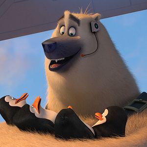 Bilder Die Pinguine aus Madagascar