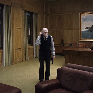 Bilder Eine Taube sitzt auf einem Zweig und denkt über das Leben nach