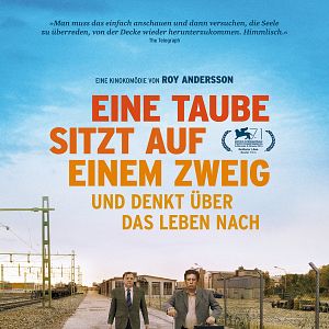 Bilder Eine Taube sitzt auf einem Zweig und denkt über das Leben nach