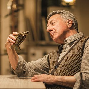 Bilder Mr. Hoppys Geheimnis