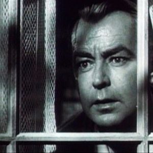 Bilder Das tödliche Netz