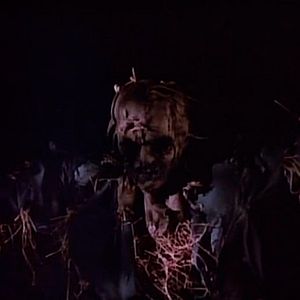 Bilder Paratrooper - Scarecrows