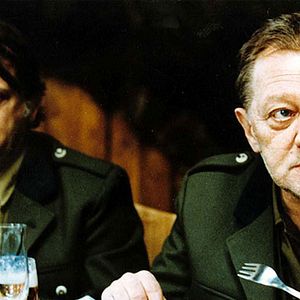 Bilder Das Wildschwein ist los