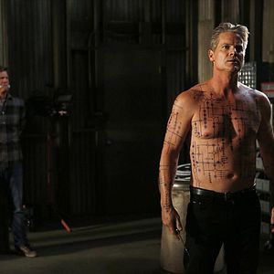 Bilder Brian Van Holt