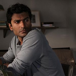 Bilder Brahmin Bulls