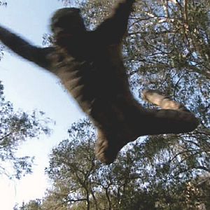 Bilder Es lauert 2 - Creature Unknown