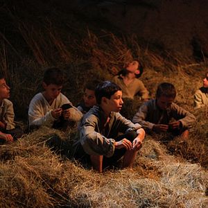 Bilder La storia di Cino