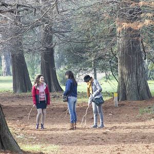 Bilder Mi Amiga Del Parque