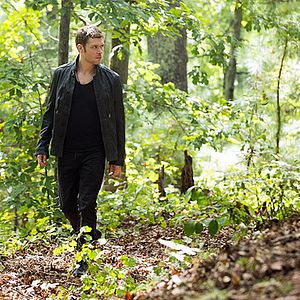 Bilder The Originals