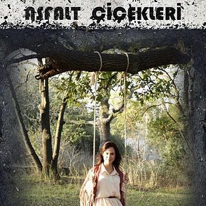 Bilder Asfalt Çiçekleri