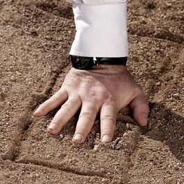 Bilder Asfalt Çiçekleri