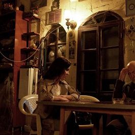 Bilder Asfalt Çiçekleri